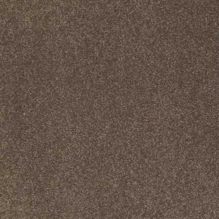 Shaw Floors Value Collections Sandy Hollow Classic I 12 Net Castle Rock