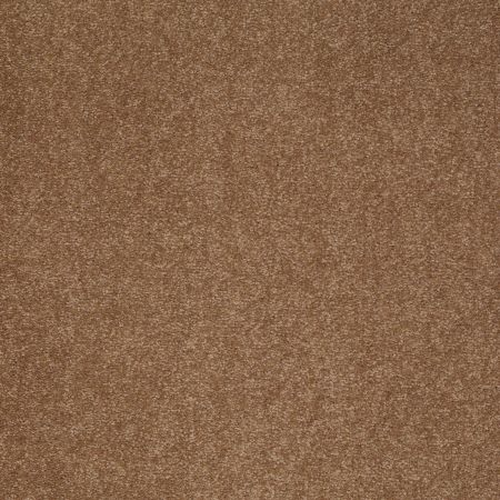 Shaw Floors Value Collections Sandy Hollow Classic I 12 Net Windmill