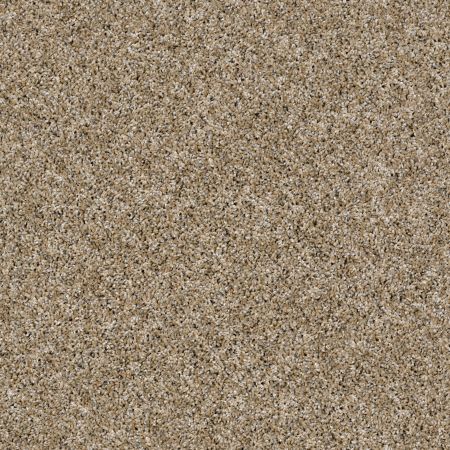 Shaw Floors Simply The Best Absolutely It Camel