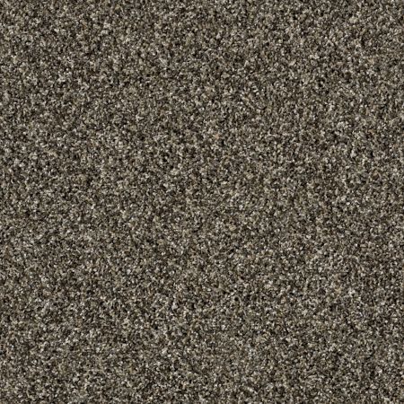 Shaw Floors Simply The Best Absolutely It Trade Winds