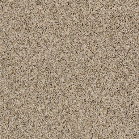 Shaw Floors Simply The Best Absolutely It Net Sun Glaze