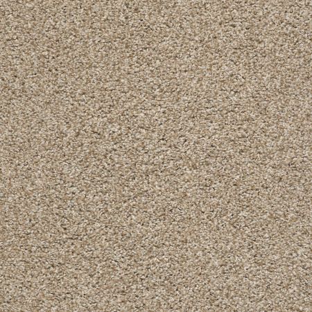 Shaw Floors Value Collections Poised Net Artisan