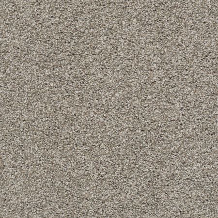 Shaw Floors Value Collections Poised Net Studio Loft