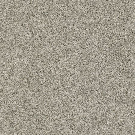 Shaw Floors Everlasting Tonal Ornamental Gate