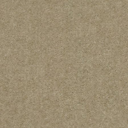 Shaw Floors Value Collections Zipp Net Gentle Maize