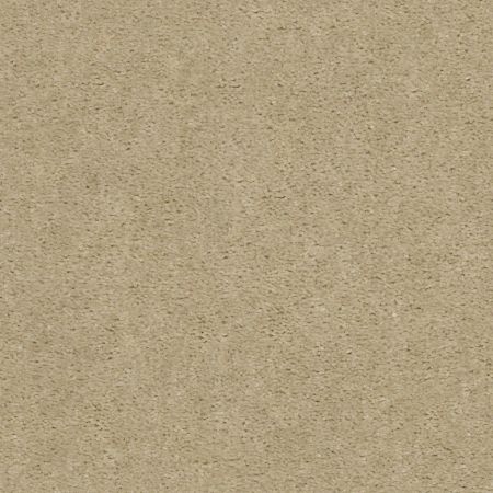 Shaw Floors Value Collections Zipp Net Del Sol