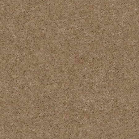 Shaw Floors Value Collections Zipp Net Xanthia