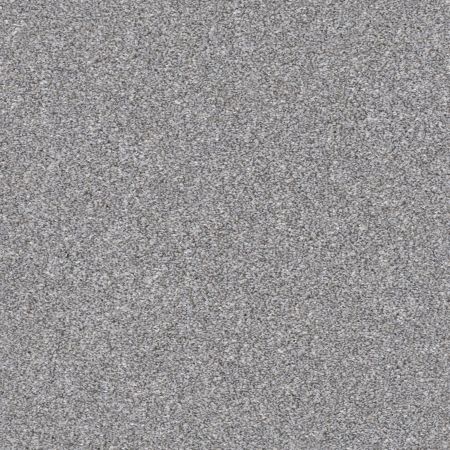 Shaw Floors Simply The Best Make It Mine I Arctic Shadow