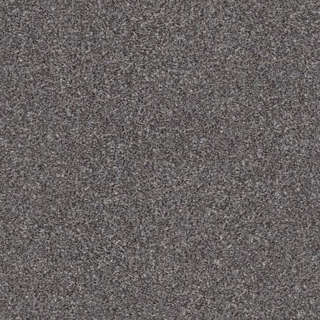 Shaw Floors Simply The Best Make It Mine I Mocha