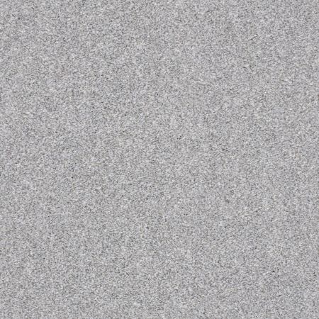 Shaw Floors Simply The Best Make It Mine II Sterling
