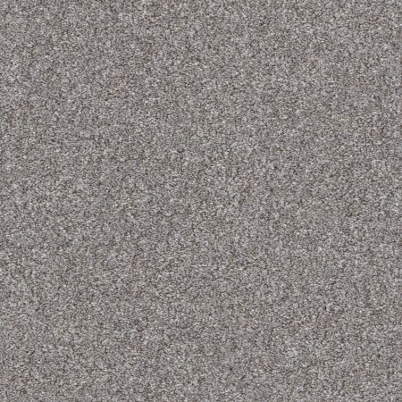 Shaw Floors Simply The Best Make It Mine II Cedar Ridge