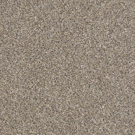 Shaw Floors Simply The Best After It I Pebble Walk