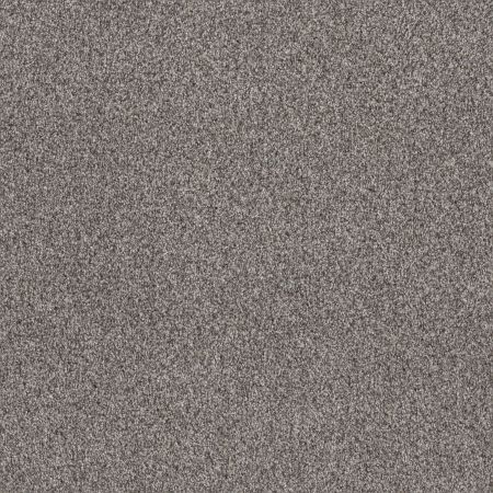 Shaw Floors Simply The Best Within Reach II Shoreline