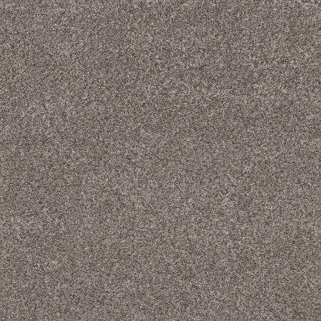 Shaw Floors Simply The Best Within Reach II Kidskin