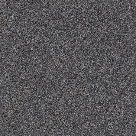 Shaw Floors Simply The Best Within Reach III Smokescreen