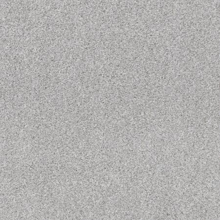 Shaw Floors Pet Perfect Plus Calm Serenity I English Streets