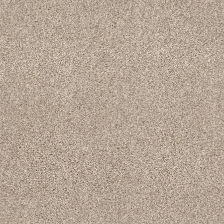 Shaw Floors Pet Perfect Plus Calm Serenity I Kidskin