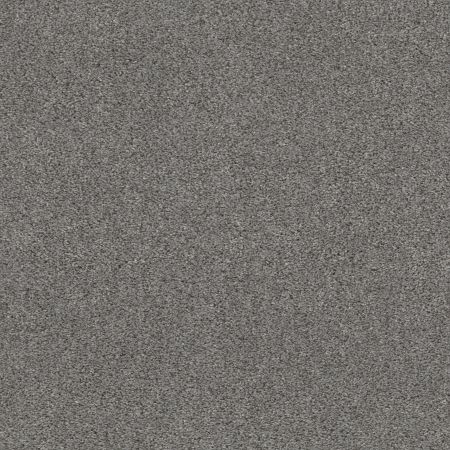 Shaw Floors Pet Perfect Plus Calm Serenity I Harbor Dock