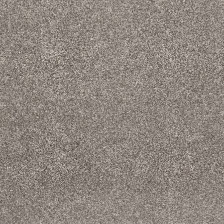 Shaw Floors Pet Perfect Plus Calm Simplicity I Washed Linen