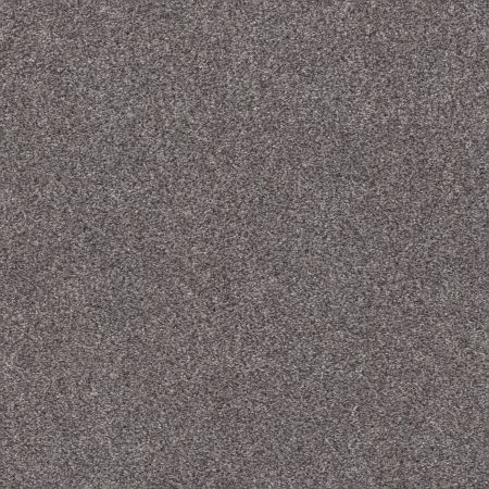 Shaw Floors Pet Perfect Plus Calm Simplicity I Silver Lining