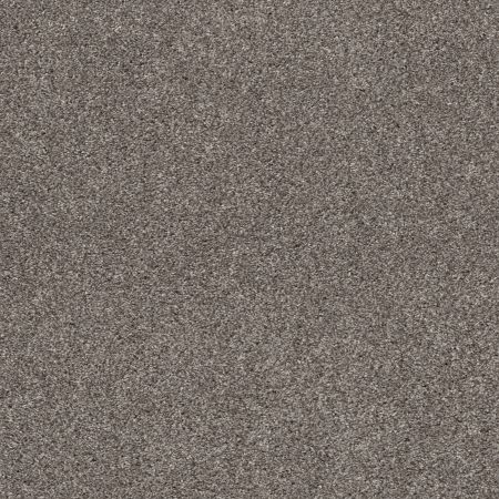 Shaw Floors Pet Perfect Plus Calm Simplicity I Newstone Haven