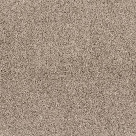 Shaw Floors Pet Perfect Plus Calm Serenity II Beige Bisque
