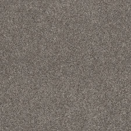 Shaw Floors Pet Perfect Plus Calm Simplicity II Newstone Haven