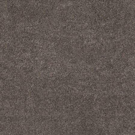 Shaw Floors Pet Perfect Plus Calm Simplicity II Antelope