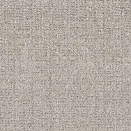 Shaw Floors Pet Perfect Plus Charming Transition Split Sediment