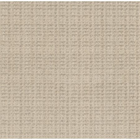 Shaw Floors Pet Perfect Plus Charming Transition Butter Cream