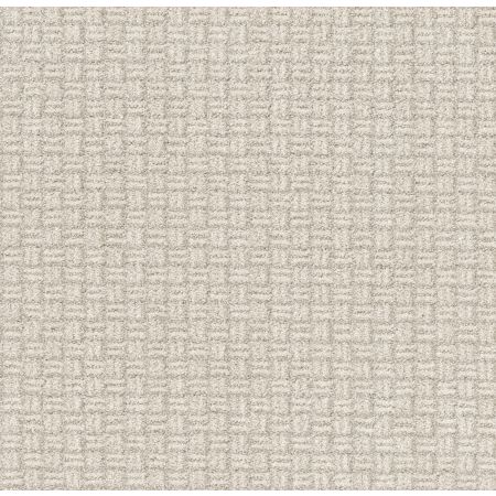 Shaw Floors Pet Perfect Plus Soothing Surround Washed Linen
