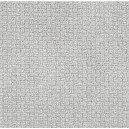 Shaw Floors Pet Perfect Plus Soothing Surround Reflection