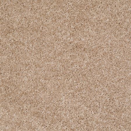 Shaw Floors Dreamin' Net Macaroon