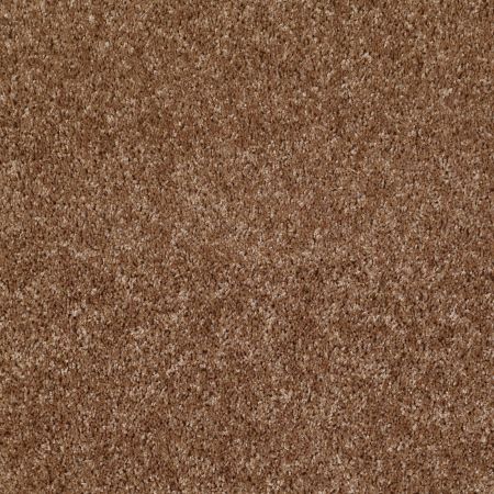 Shaw Floors Dreamin' Net Ridgecrest