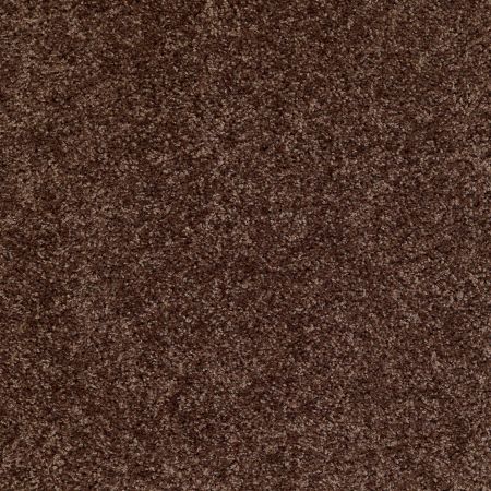 Shaw Floors Dreamin' Net Montana