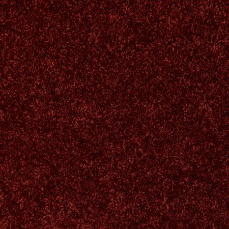 Shaw Floors Dreamin' Net Cayenne