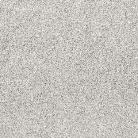 Shaw Floors Pet Perfect Plus Quiet Sanctuary Snow Cap