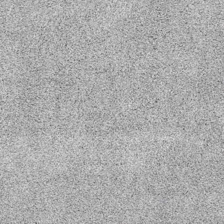 Shaw Floors Pet Perfect Plus Quiet Sanctuary Winters Dawn