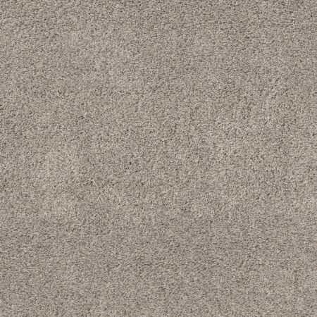 Shaw Floors Pet Perfect Plus Quiet Sanctuary Kidskin