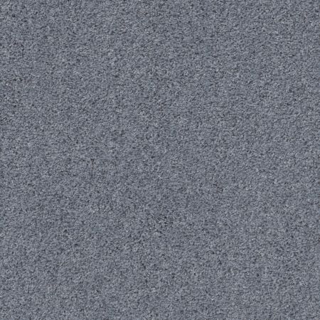 Shaw Floors Pet Perfect Plus Quiet Sanctuary Thundered Steel