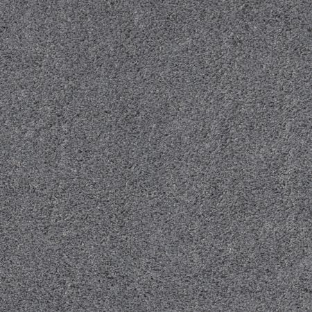 Shaw Floors Pet Perfect Plus Quiet Sanctuary Harbor Dock