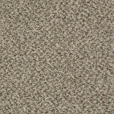 Shaw Floors Value Collections Break Away (b) Net Sugar Cookie