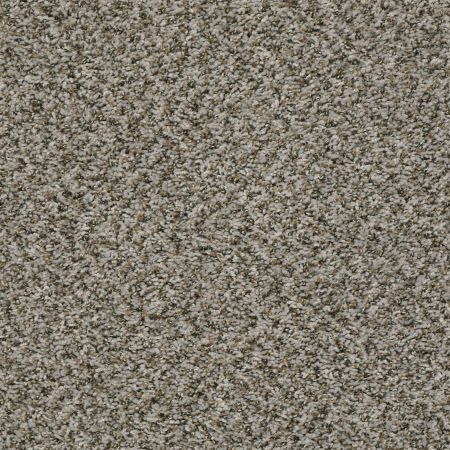 Shaw Floors Value Collections Break Away (b) Net Dolphin