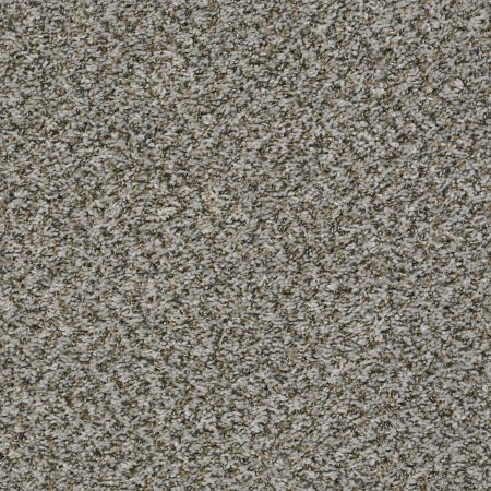 Shaw Floors Value Collections Break Away (b) Net Fossil