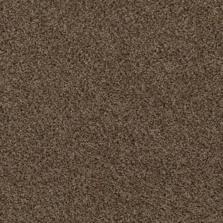 Shaw Floors Value Collections Break Away (b) Net Good Earth