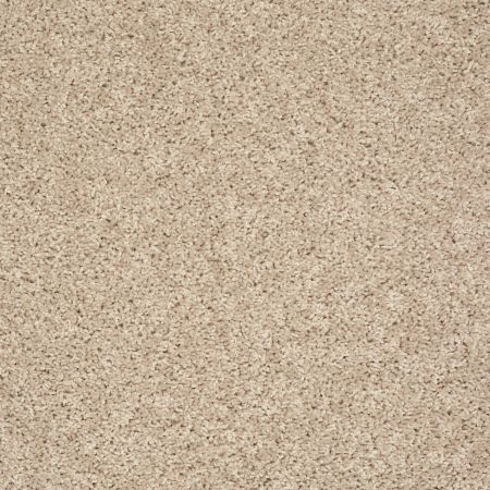 Shaw Floors Value Collections Break Away (s) Net Gentle Breeze