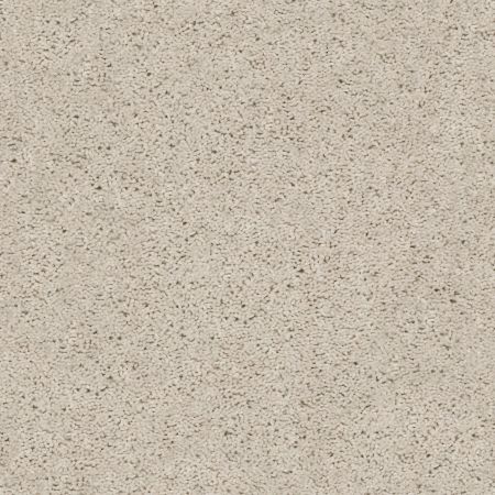 Shaw Floors Value Collections Break Away (s) Net Winter White