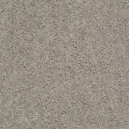 Shaw Floors Value Collections Break Away (s) Net Whisper