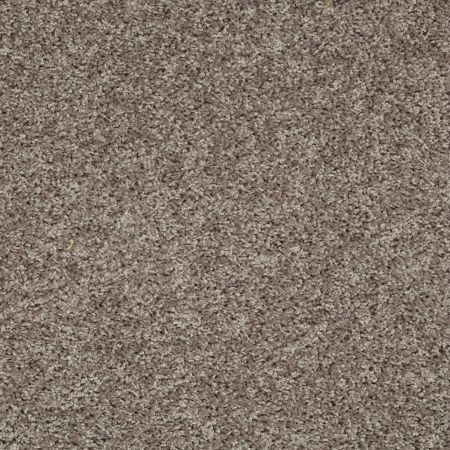 Shaw Floors Value Collections Break Away (s) Net Charcoal