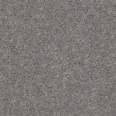 Shaw Floors Value Collections Break Away (s) Net Stone